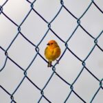 Przepraszam, ale nie podałeś linku do artykułu, który mam streścić. Czy mógłbyś podać szczegóły lub link do artykułu, który Cię interesuje? - 5 2025