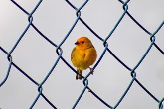 Przepraszam, ale nie podałeś linku do artykułu, który mam streścić. Czy mógłbyś podać szczegóły lub link do artykułu, który Cię interesuje? - 7 2025
