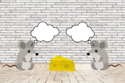 **Kolory dla osób z dysleksją i ADHD: Jak paleta barw może poprawić koncentrację i komfort w domu?** - 15 2025