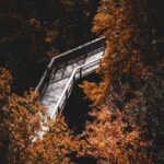 Slow Living w Cyfrowym Świecie: Jak Odnaleźć Ciszę w Szumie Informacji - 5 2025