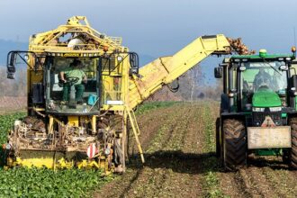 Smart oświetlenie: Jak inteligentne systemy mogą obniżyć rachunki za energię? - 7 2025