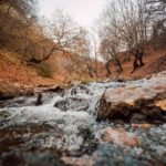 Powrót do Korzeni: Jak Techniki Budownictwa Naturalnego z Lat 20. XX Wieku Rewolucjonizują Dzisiejsze Wnętrza, Tworząc Przestrzeń Zdrową i Zrównoważoną - 5 2025