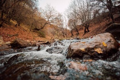 Powrót do Korzeni: Jak Techniki Budownictwa Naturalnego z Lat 20. XX Wieku Rewolucjonizują Dzisiejsze Wnętrza, Tworząc Przestrzeń Zdrową i Zrównoważoną - 1 2025