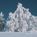 Magia codzienności: Jak znaleźć inspirację w zwykłych chwilach - 3 2025