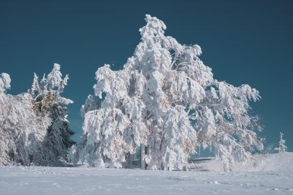 Magia codzienności: Jak znaleźć inspirację w zwykłych chwilach - 9 2025