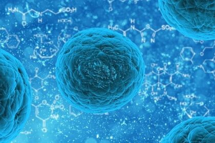 Przepraszam, ale nie podałeś linku do artykułu do streszczenia - 7 2025